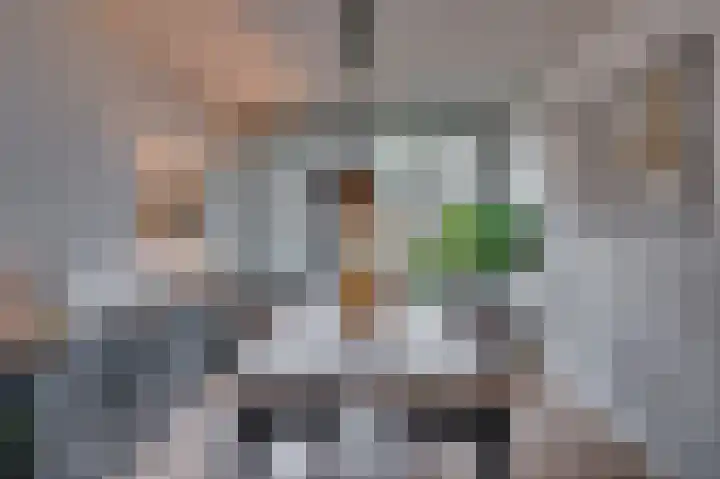 Laaghuissingel 73 Venlo thumbnail 10