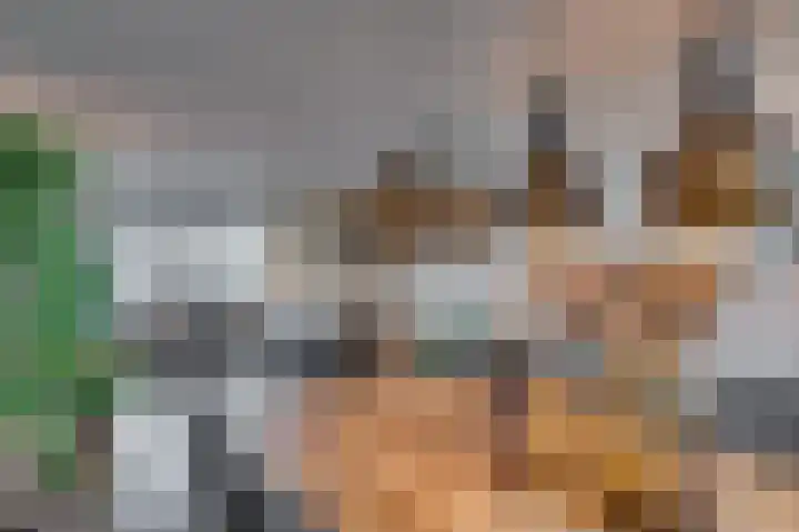 Laaghuissingel 73 Venlo thumbnail 12