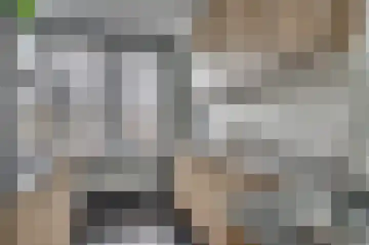 Laaghuissingel 73 Venlo thumbnail 21