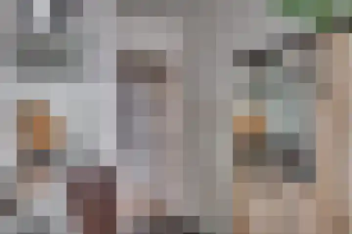 Laaghuissingel 73 Venlo thumbnail 23
