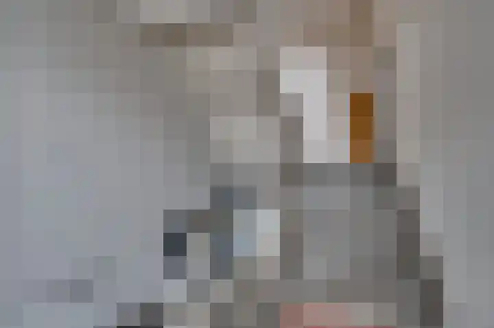 Laaghuissingel 73 Venlo thumbnail 31