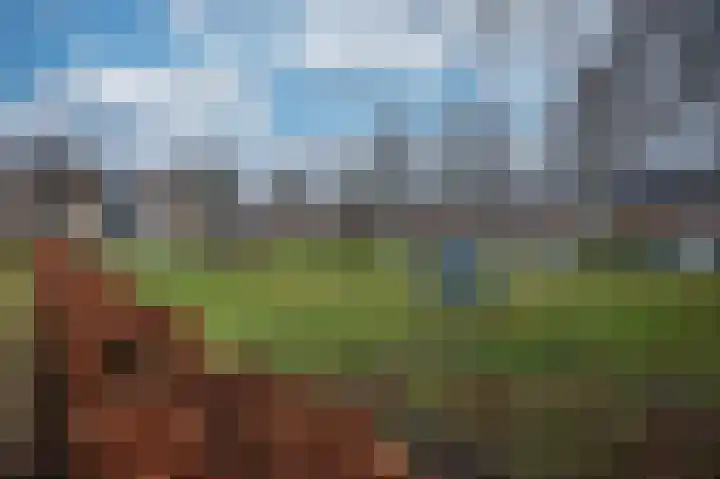 Laaghuissingel 73 Venlo thumbnail 37
