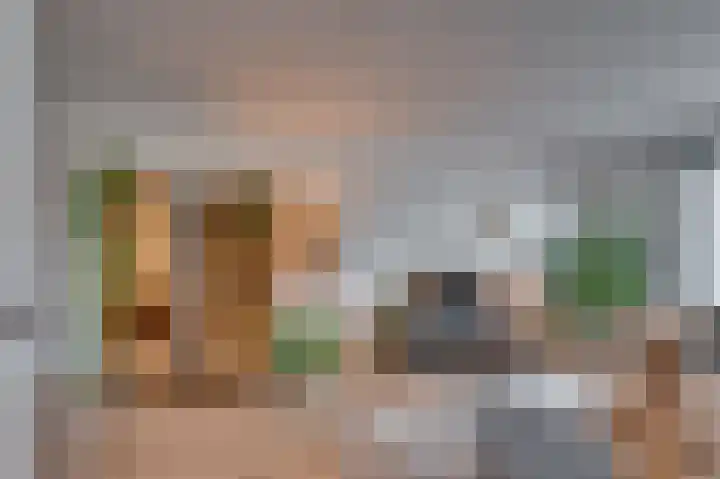 Laaghuissingel 73 Venlo thumbnail 4