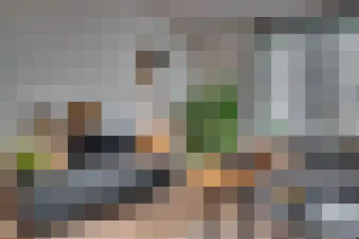 Laaghuissingel 73 Venlo thumbnail 6