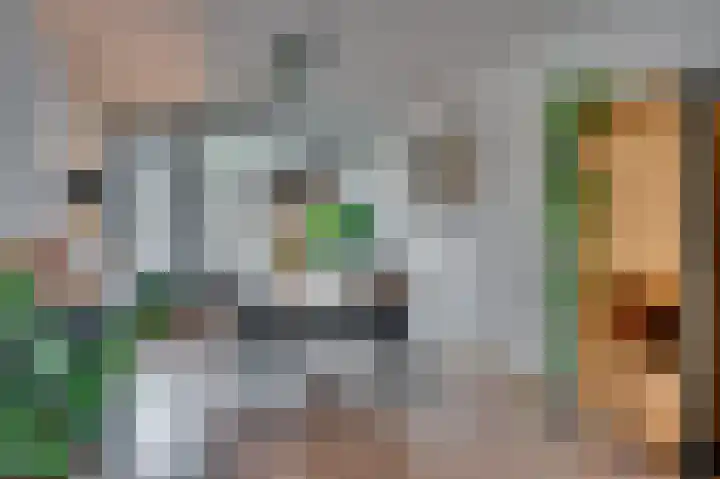 Laaghuissingel 73 Venlo thumbnail 9