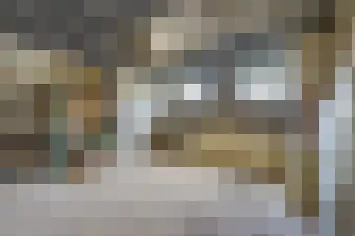 Laaghuissingel 77 Venlo thumbnail 13