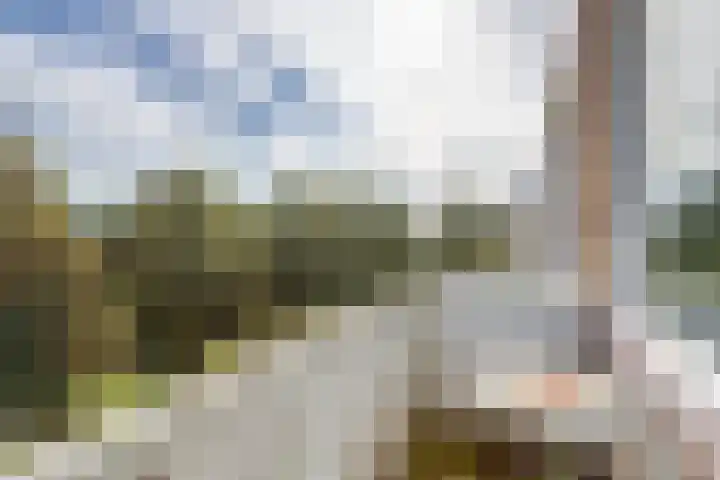 Laaghuissingel 77 Venlo thumbnail 14
