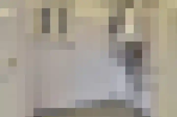 Laaghuissingel 87 Venlo thumbnail 8