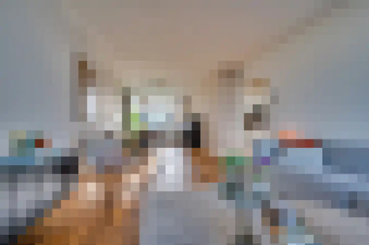 Laaghuissingel 95 Venlo thumbnail 10