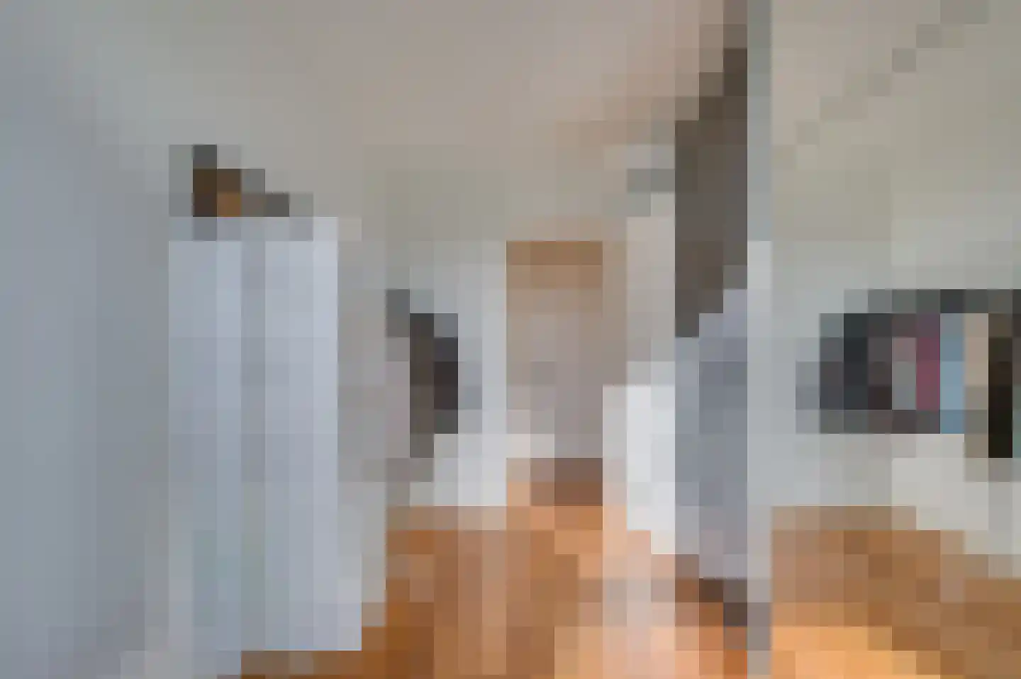 Laaghuissingel 95 Venlo thumbnail 27