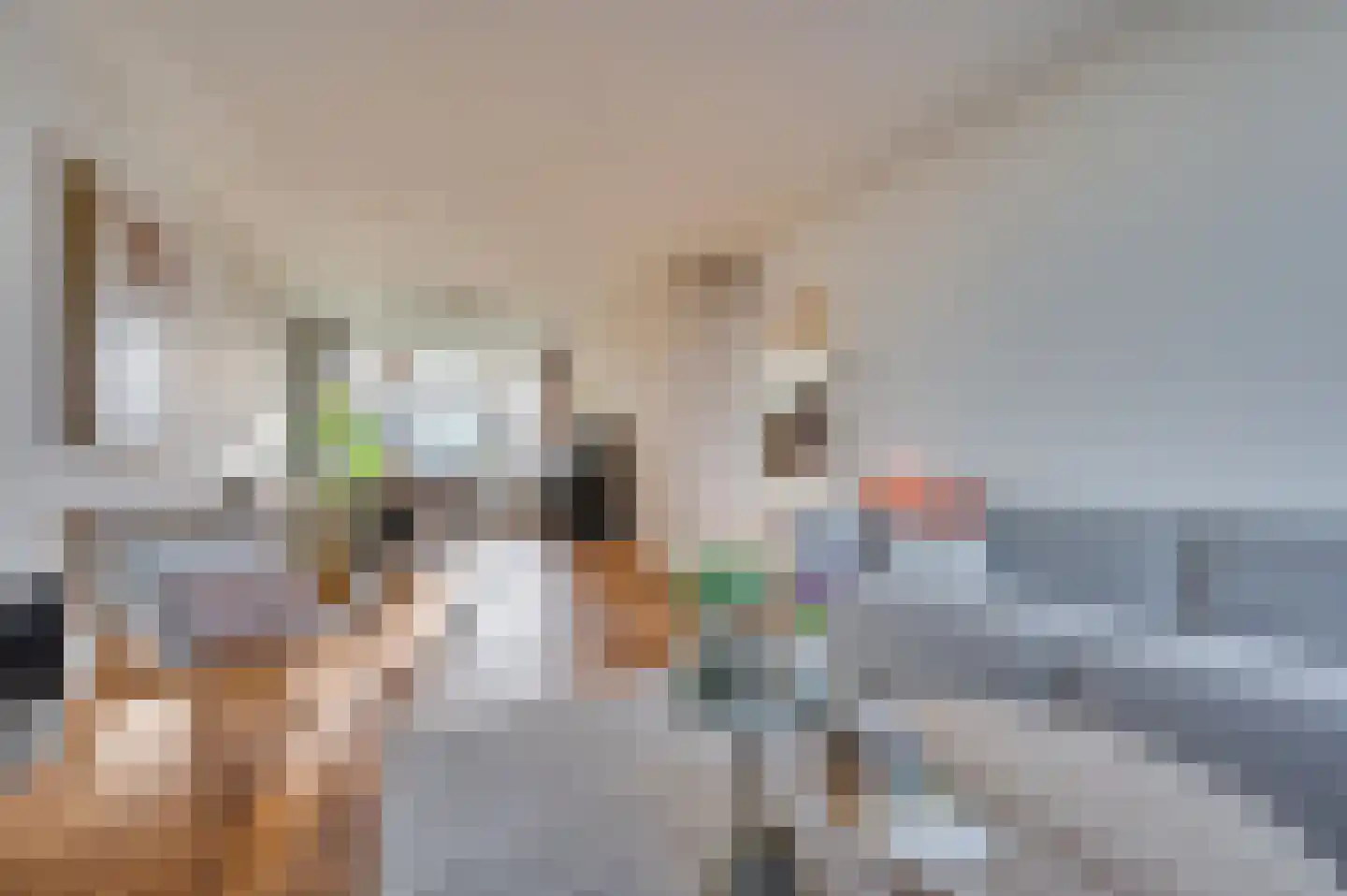 Laaghuissingel 95 Venlo thumbnail 9