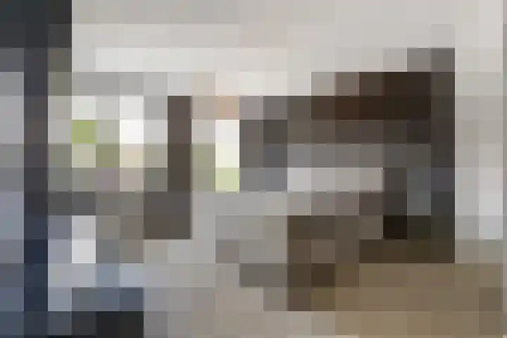 Laaghuissingel 98 Venlo thumbnail 15