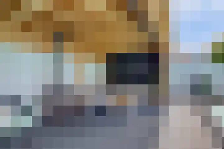 Laaghuissingel 98 Venlo thumbnail 23