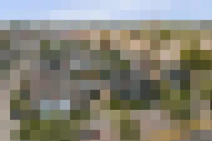 Laaghuissingel 98 Venlo thumbnail 26