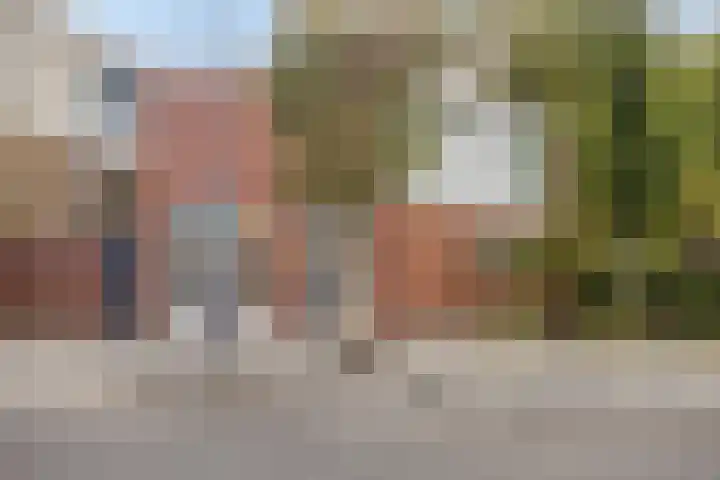 Laagjes 5 Rotterdam thumbnail 15