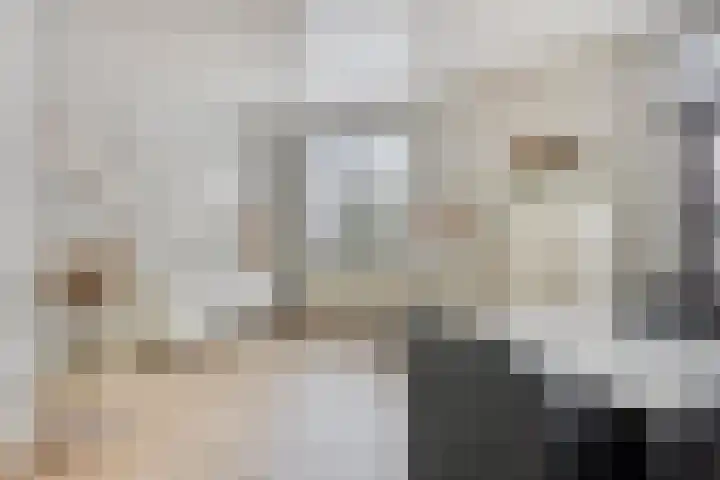 Laagjes 5 Rotterdam thumbnail 20