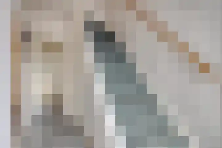 Laagjes 5 Rotterdam thumbnail 21