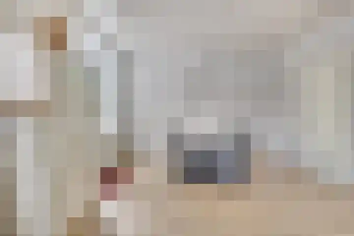 Laagjes 5 Rotterdam thumbnail 22
