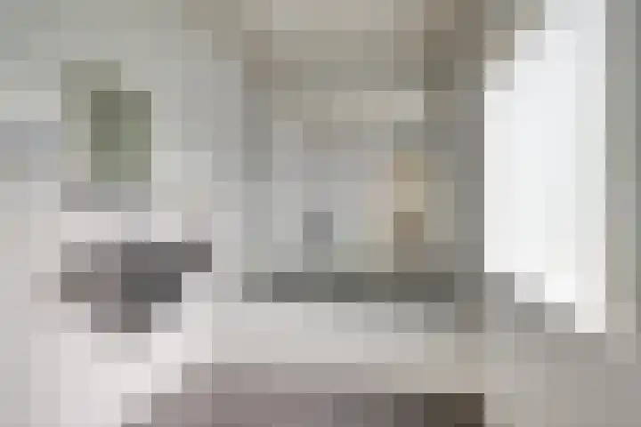 Laagjes 5 Rotterdam thumbnail 26