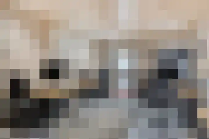 Laagjes 5 Rotterdam thumbnail 30