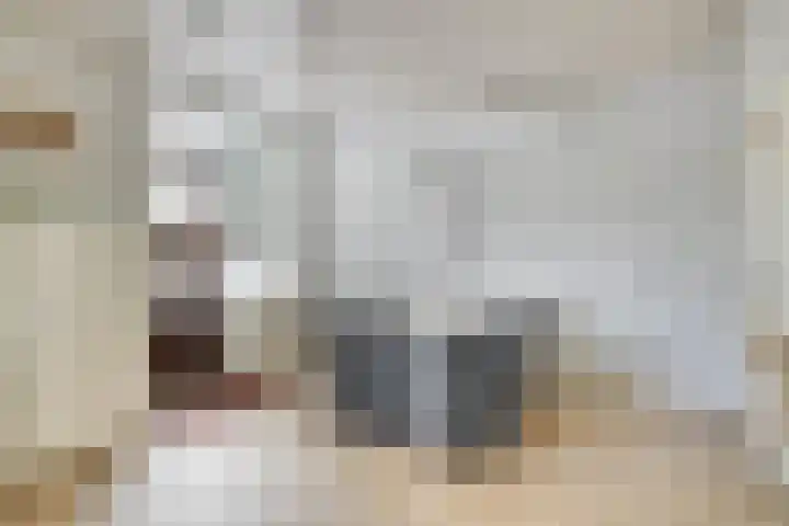 Laagjes 5 Rotterdam thumbnail 45