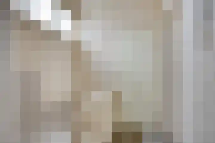 Laagjes 5 Rotterdam thumbnail 57