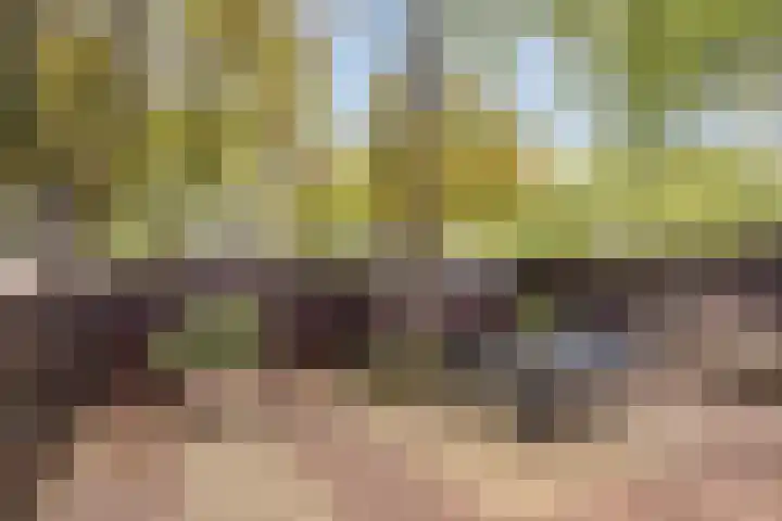 Laagjes 5 Rotterdam thumbnail 58
