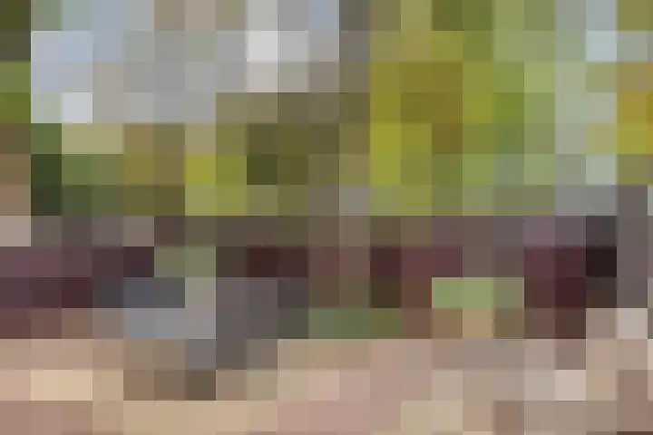 Laagjes 5 Rotterdam thumbnail 59