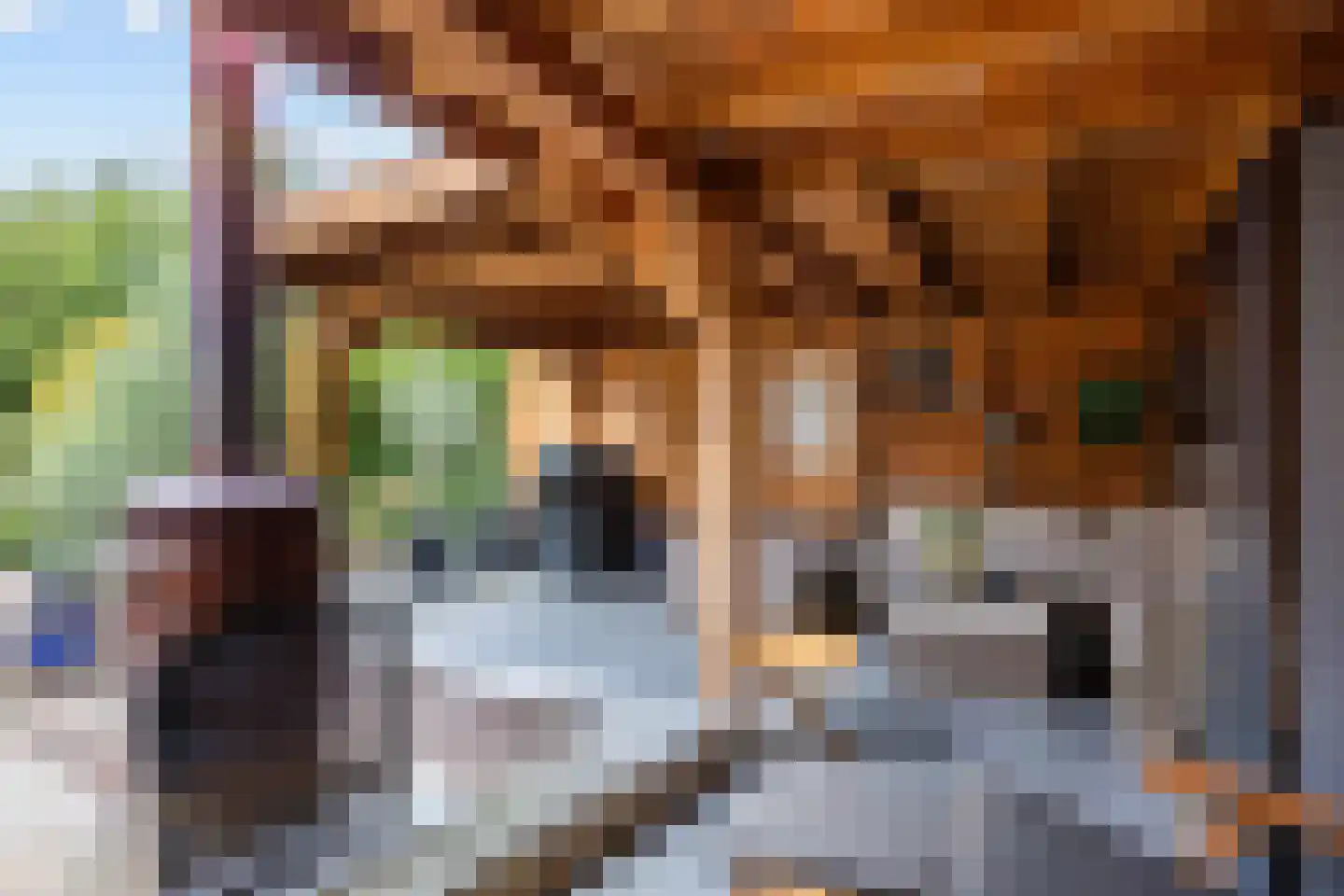 Laagland 18 Drachten thumbnail 4