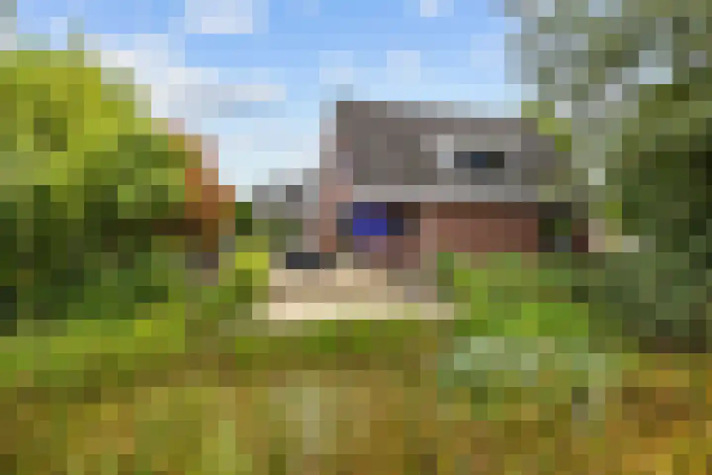 Laagland 18 Drachten thumbnail 49