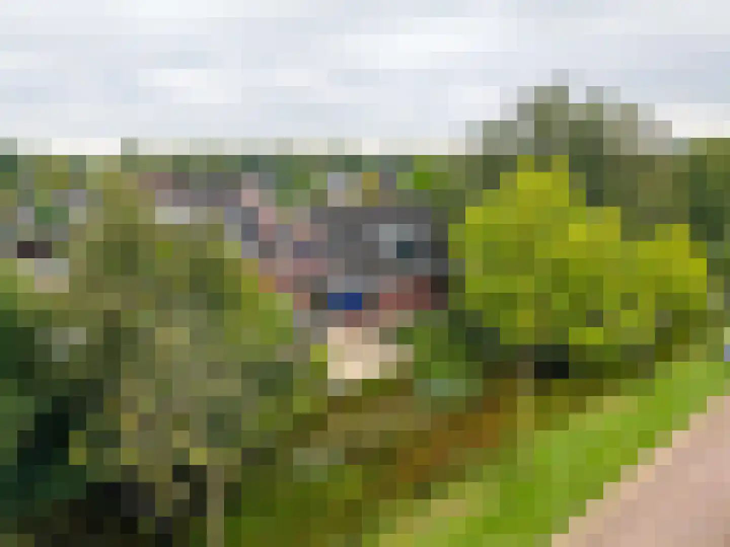 Laagland 18 Drachten thumbnail 52