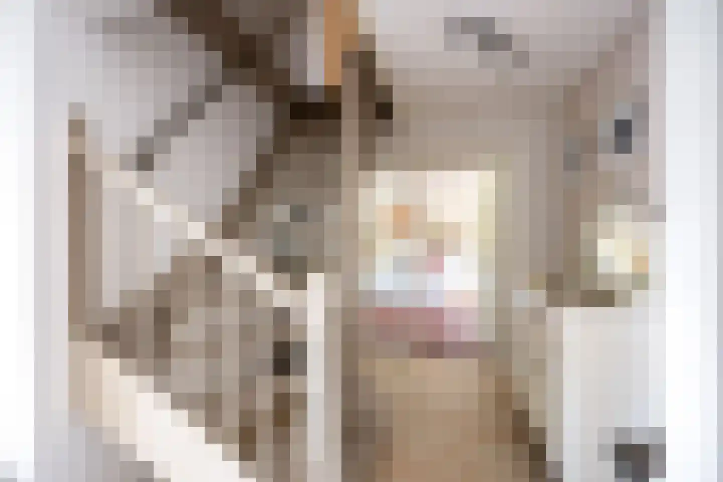 Laagland 18 Drachten thumbnail 8