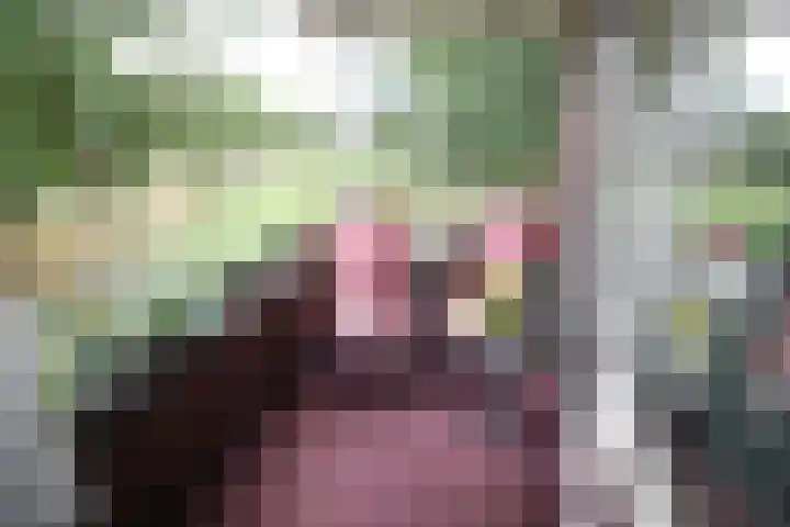 Laagland 43 Vriezenveen thumbnail 12