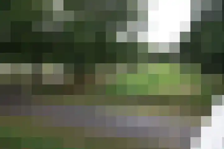 Laagland 43 Vriezenveen thumbnail 13
