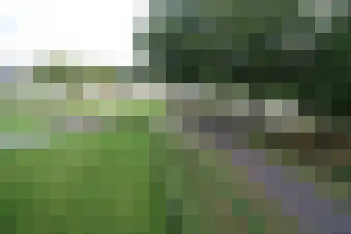 Laagland 43 Vriezenveen thumbnail 14