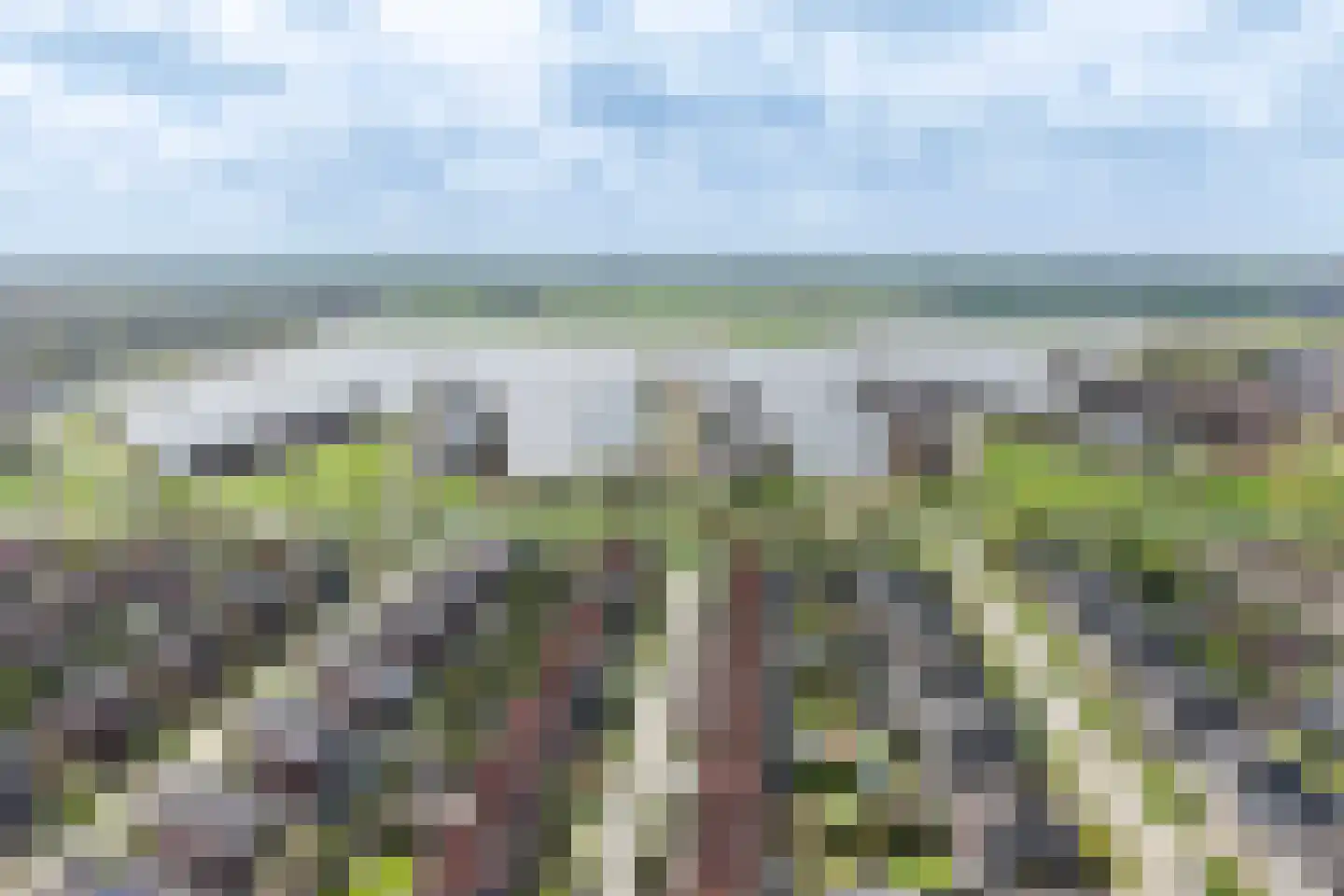 Laagland 43 Vriezenveen thumbnail 15