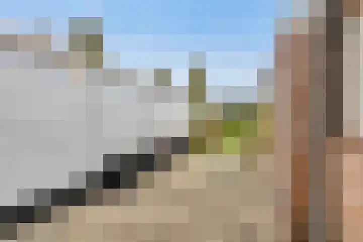 Laagland 43 Vriezenveen thumbnail 22