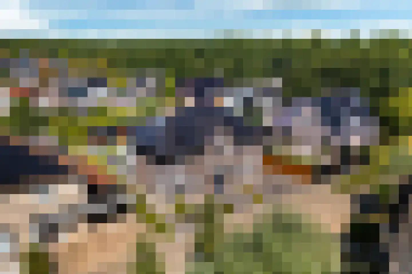 Laagland 46 Drachten thumbnail 54