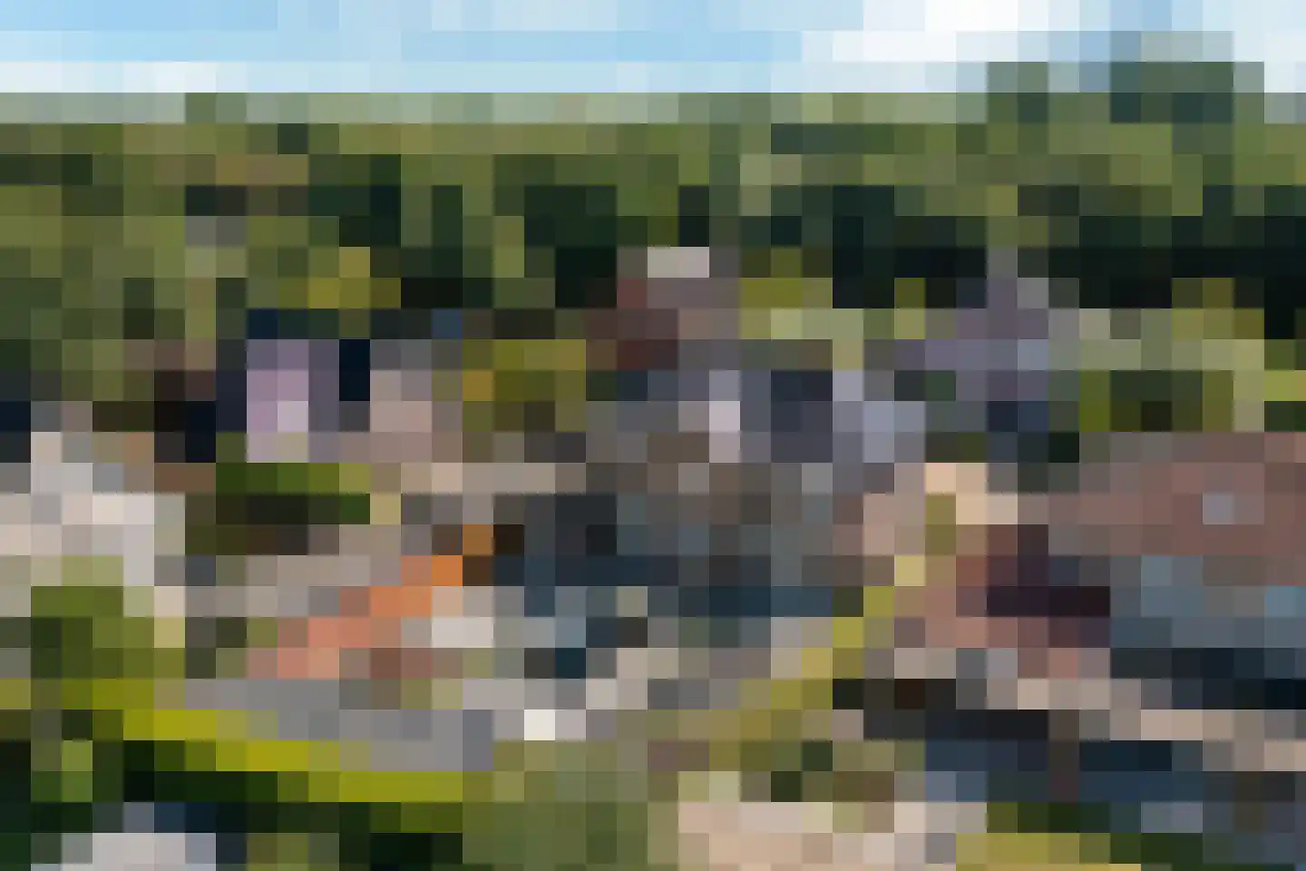 Laagland 46 Drachten thumbnail 56