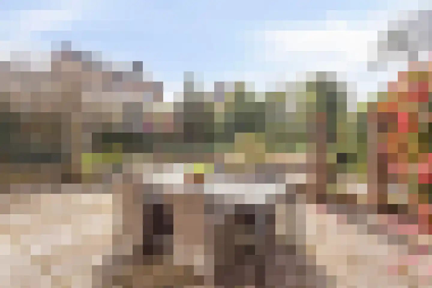 Laagland 9 Milsbeek thumbnail 26