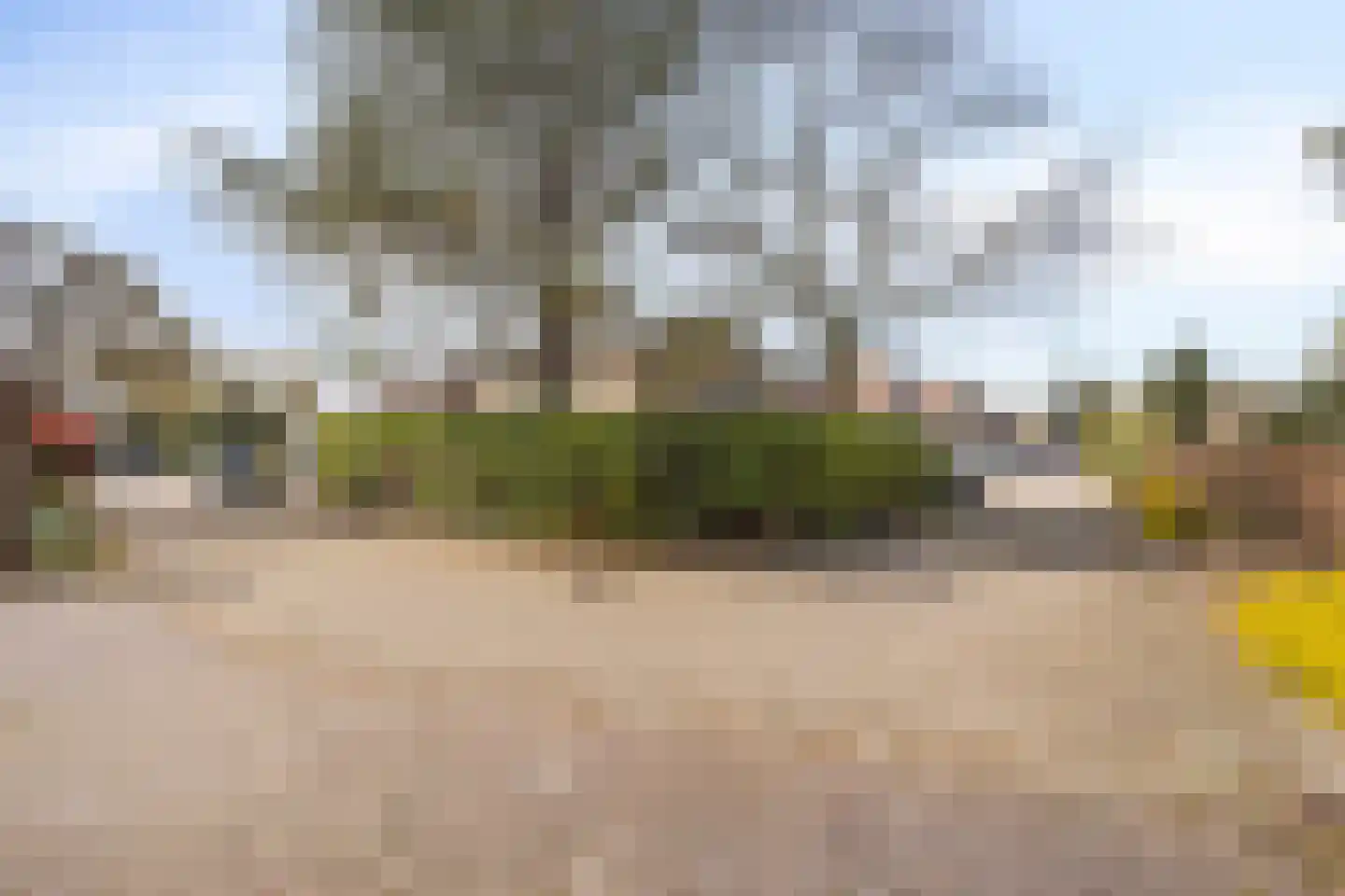 Laagland 9 Milsbeek thumbnail 32