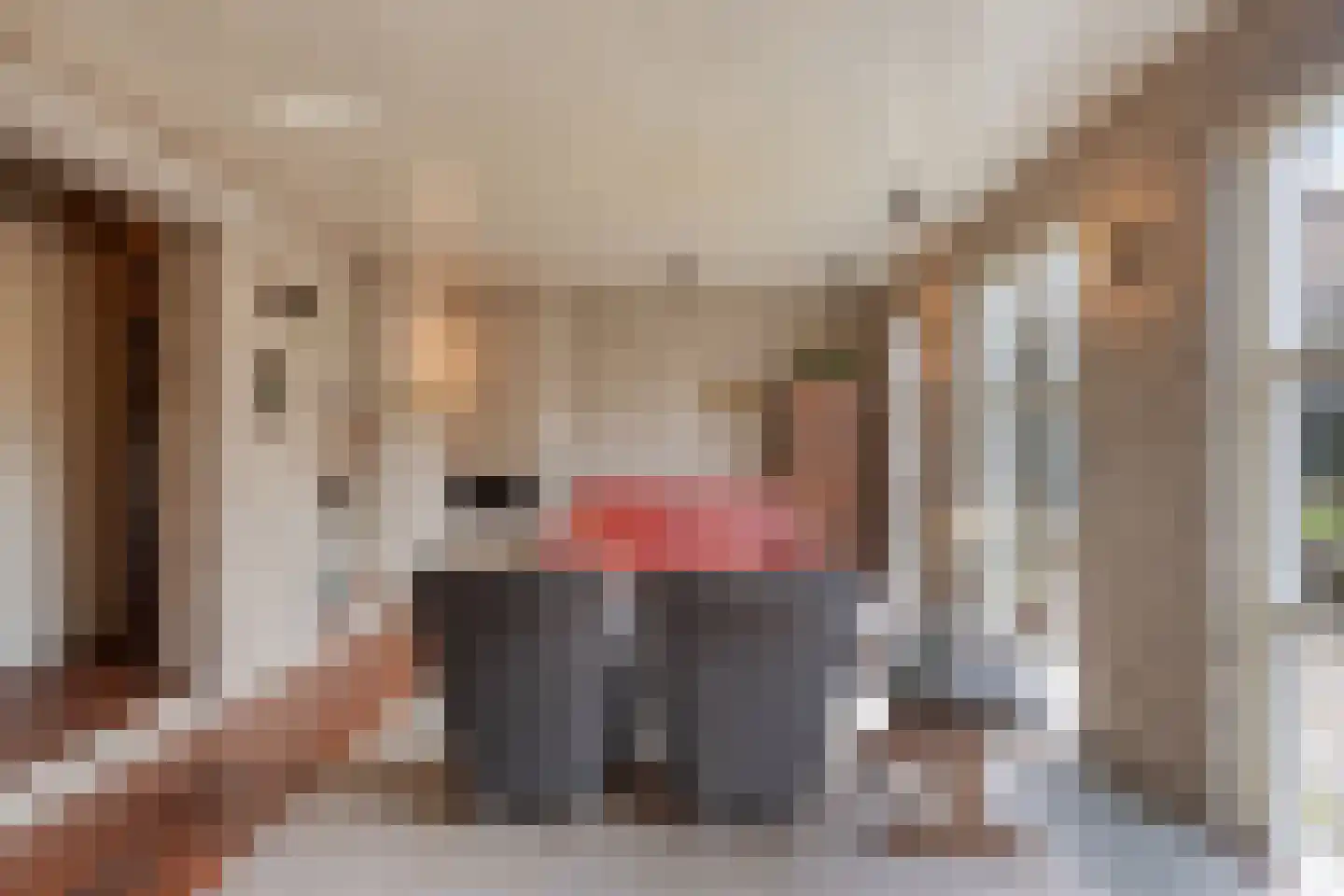 Laagland 9 Milsbeek thumbnail 7