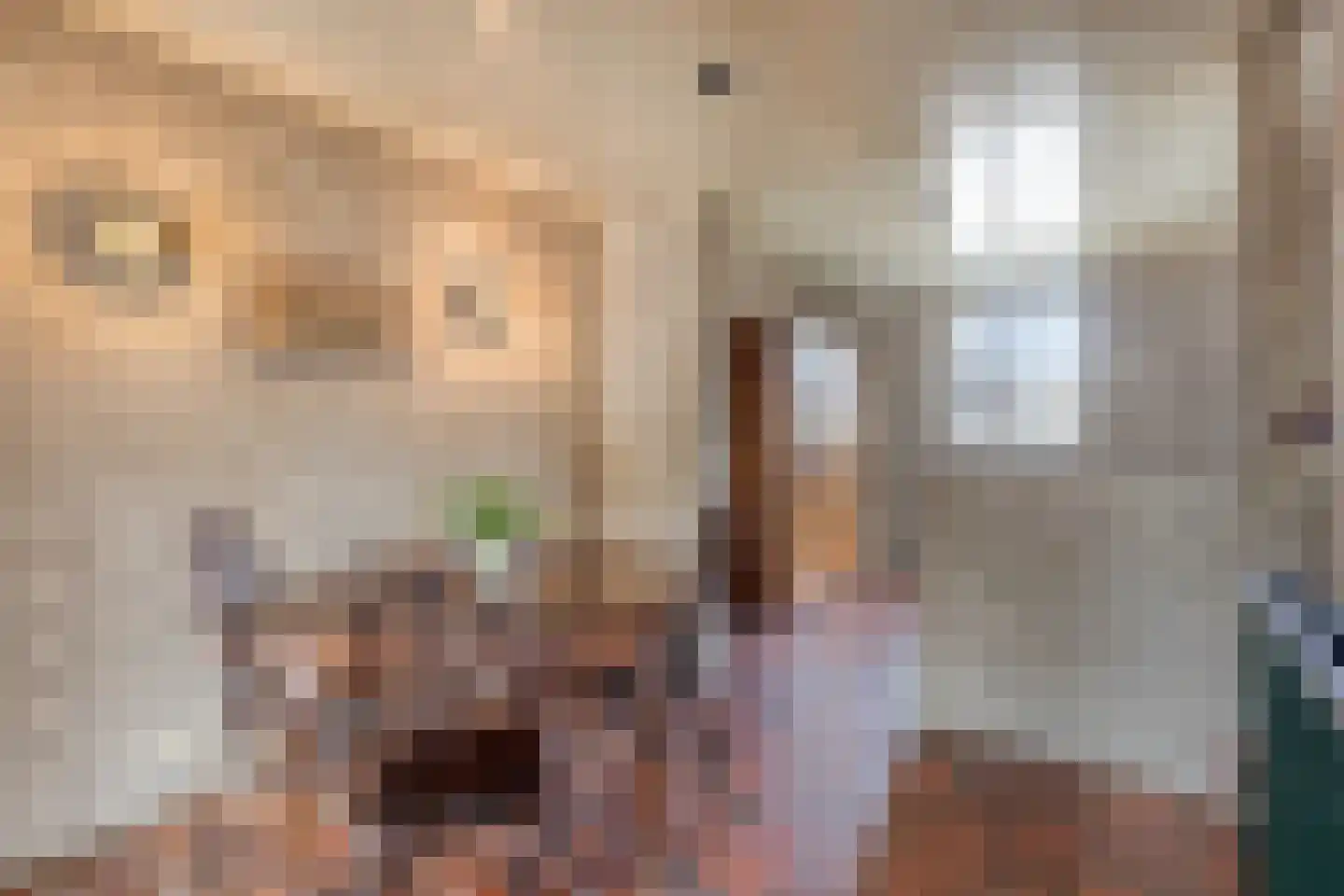 Laagland 9 Milsbeek thumbnail 8