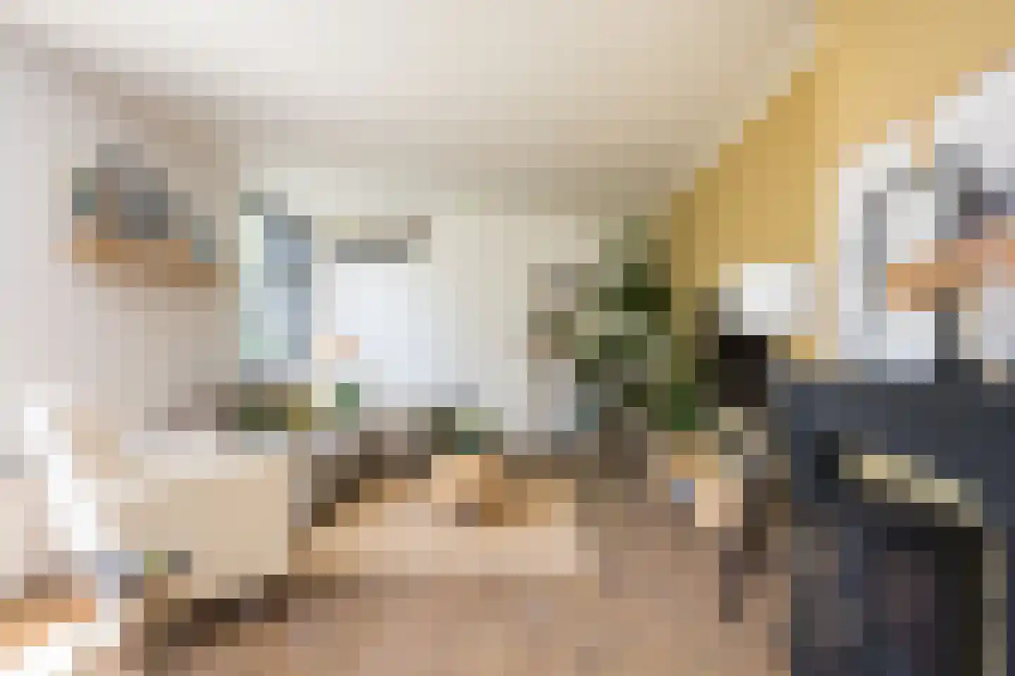 Laagsestraat 17 Oud Ootmarsum thumbnail 11