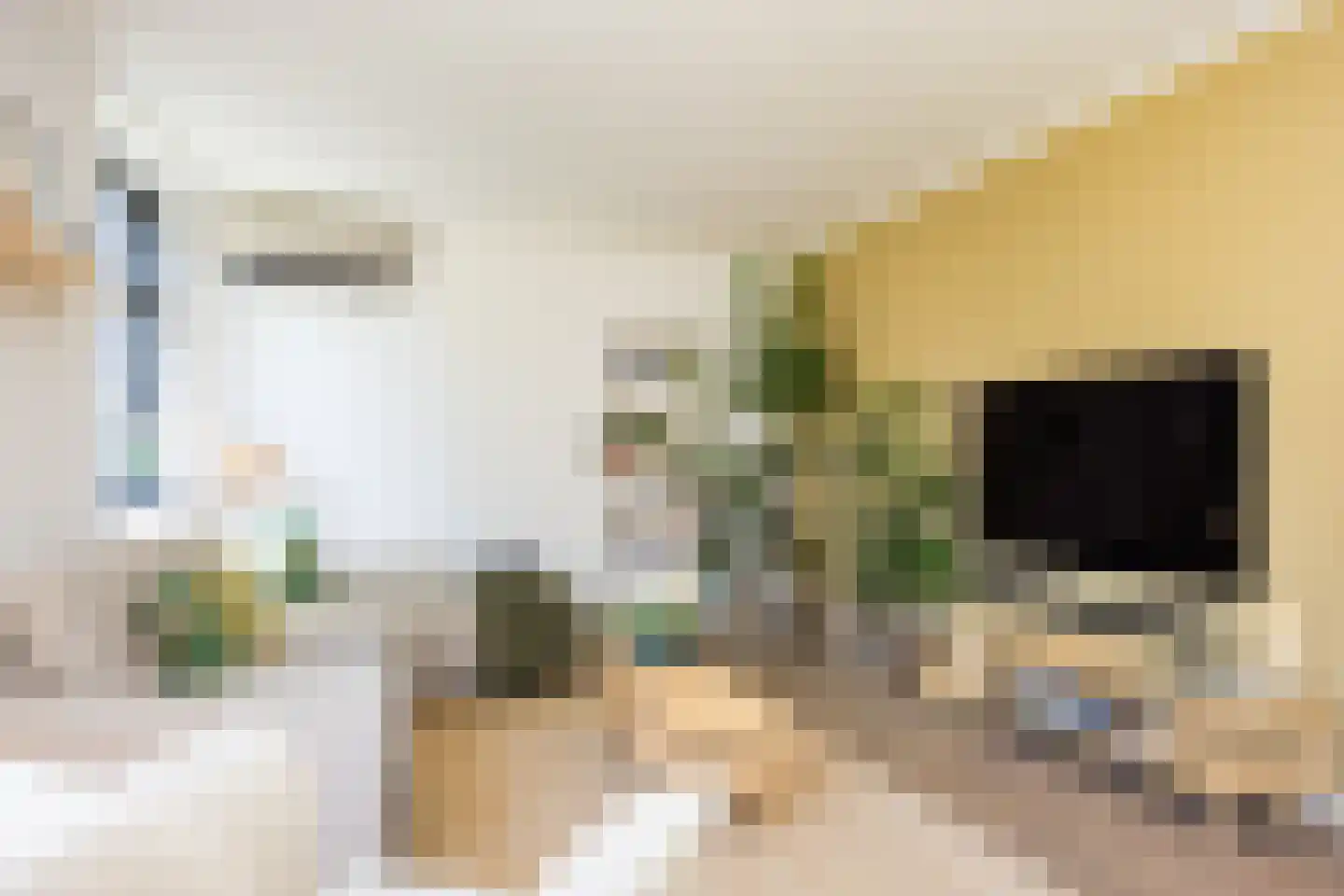 Laagsestraat 17 Oud Ootmarsum thumbnail 12