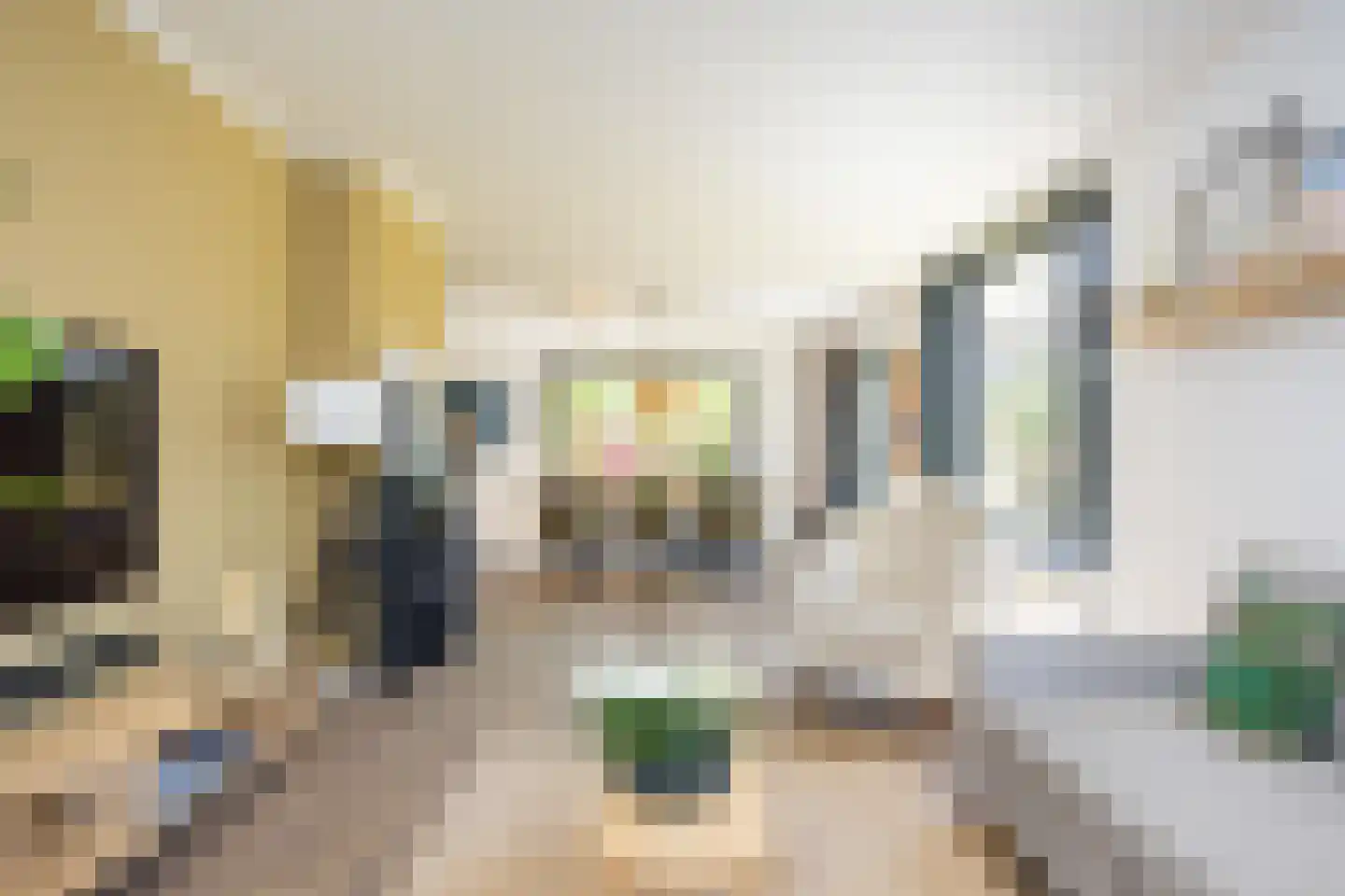 Laagsestraat 17 Oud Ootmarsum thumbnail 13