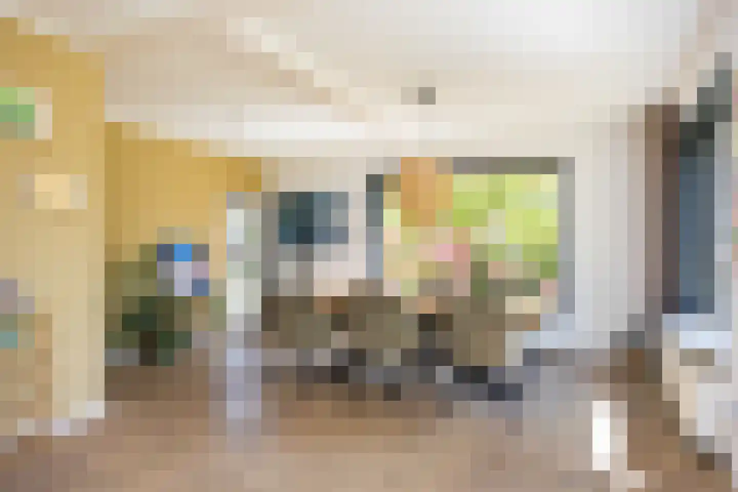 Laagsestraat 17 Oud Ootmarsum thumbnail 14
