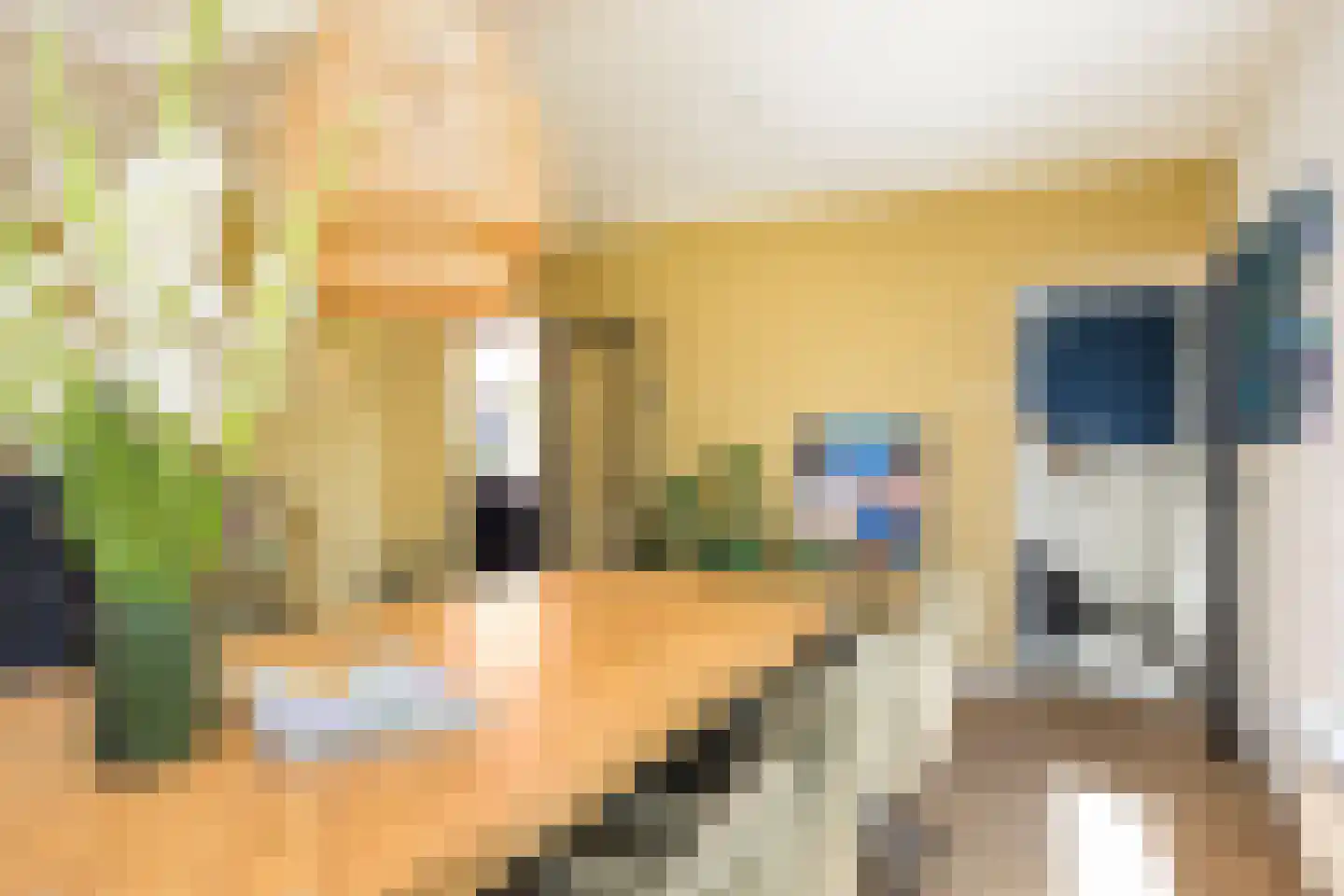 Laagsestraat 17 Oud Ootmarsum thumbnail 15