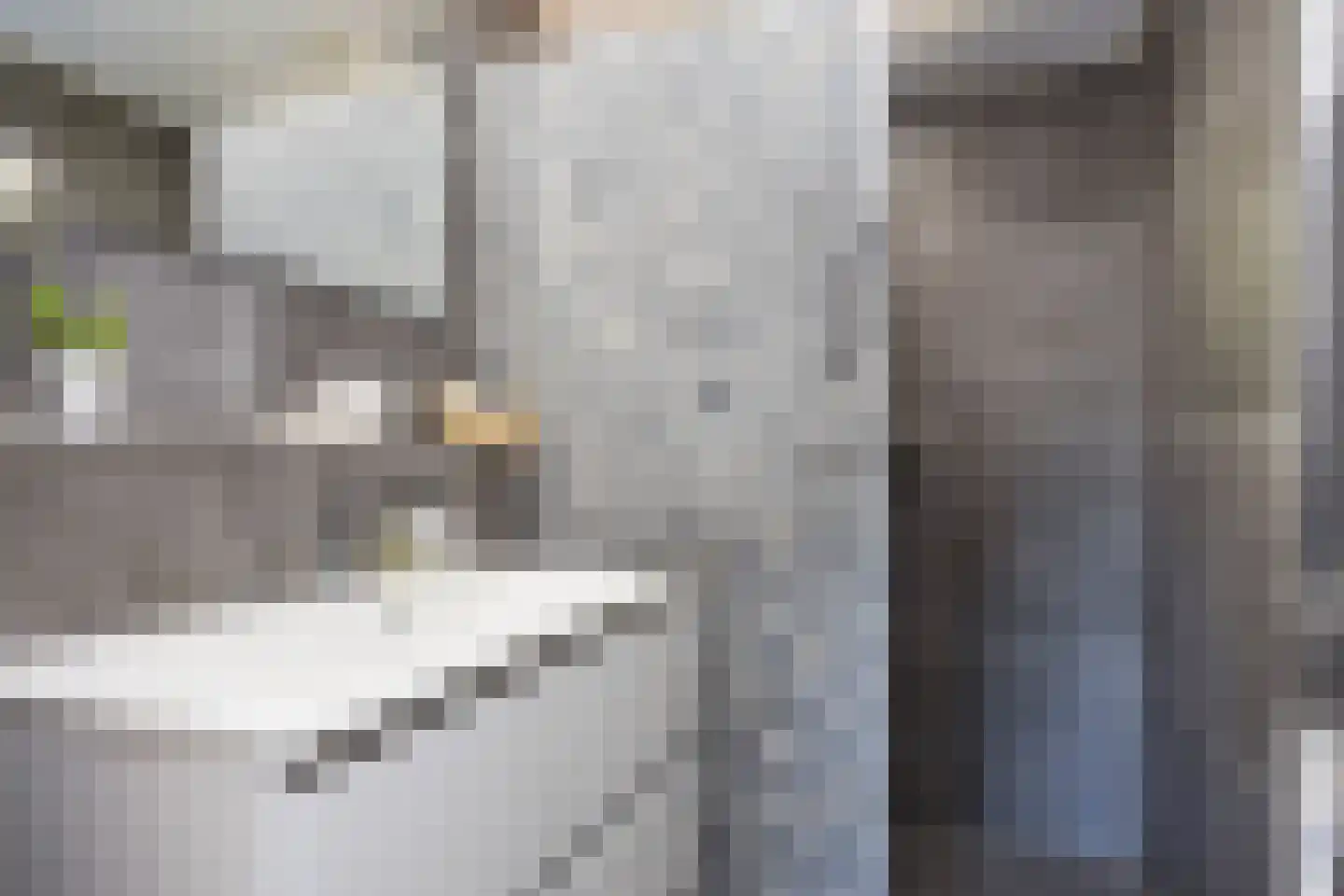 Laagsestraat 17 Oud Ootmarsum thumbnail 23