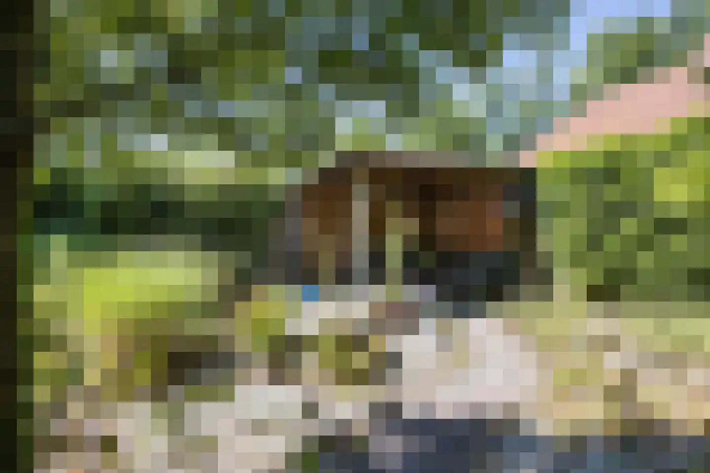 Laagsestraat 17 Oud Ootmarsum thumbnail 44